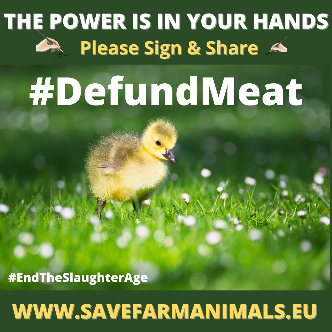 ETSA_Ireland's tweet photo. #DefundMeat #DefundDairy #endtheslaughterage
END SLAUGHTER OF FARMED ANIMALS - Ask the European Commission to subsidise Ecological Alternatives to Livestock farming 🙏Sign the 'End the Slaughter Age' European Citizens Initiative at:
https://t.co/MRohbrJzay
Or
@ Link in the Bio🙏 https://t.co/30ua60VLqx