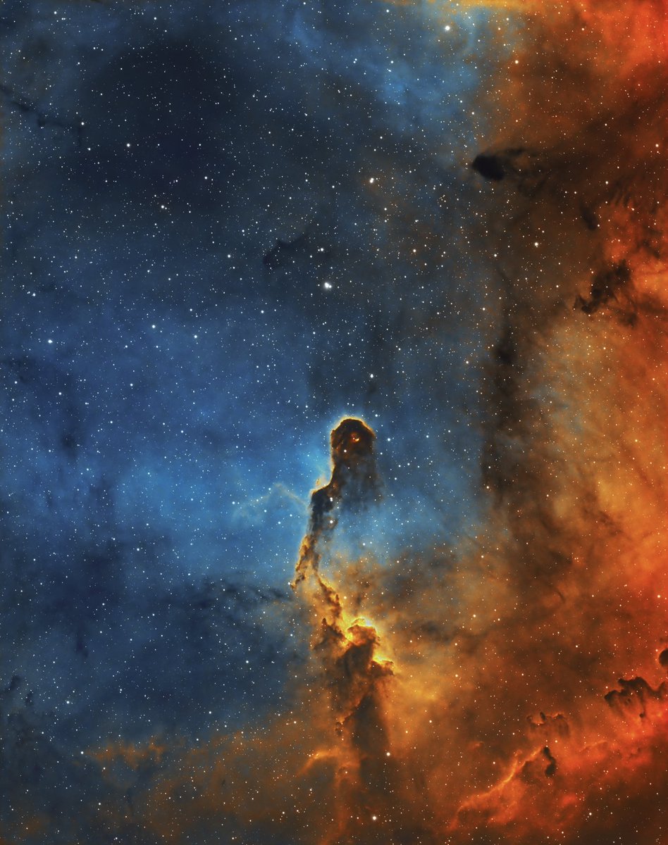 Elephant trunk nebula in the Hubble palette, located in the constellation Cepheus (16.5 hours) 
#Astrophotography