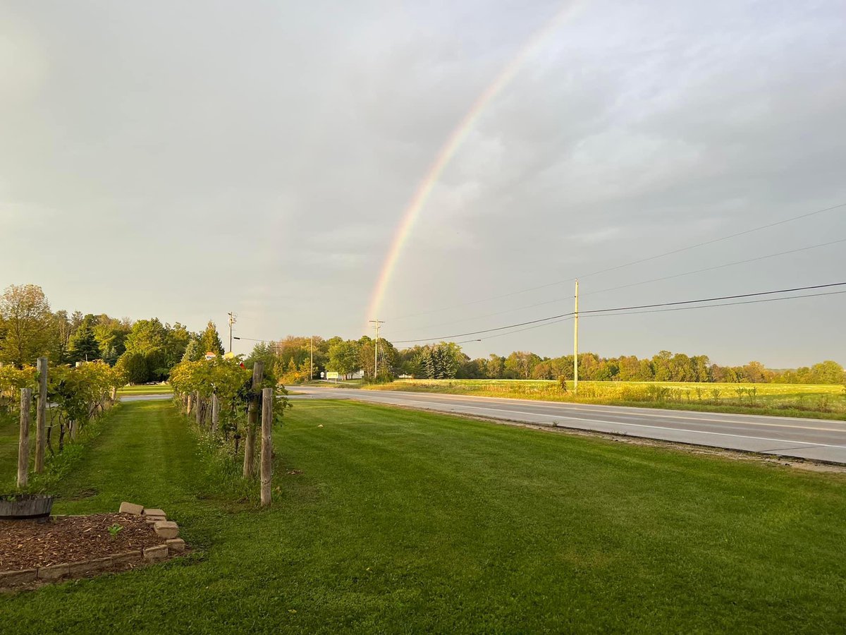 dcwinetrail's tweet photo. A beautiful sight on the #DoorCountyWineTrail! 🌈 @harborridgewine 

#winetasting #wine #doorcountywinery #doorcounty #doorcountywine #winelover https://t.co/vtGBtzvtMg