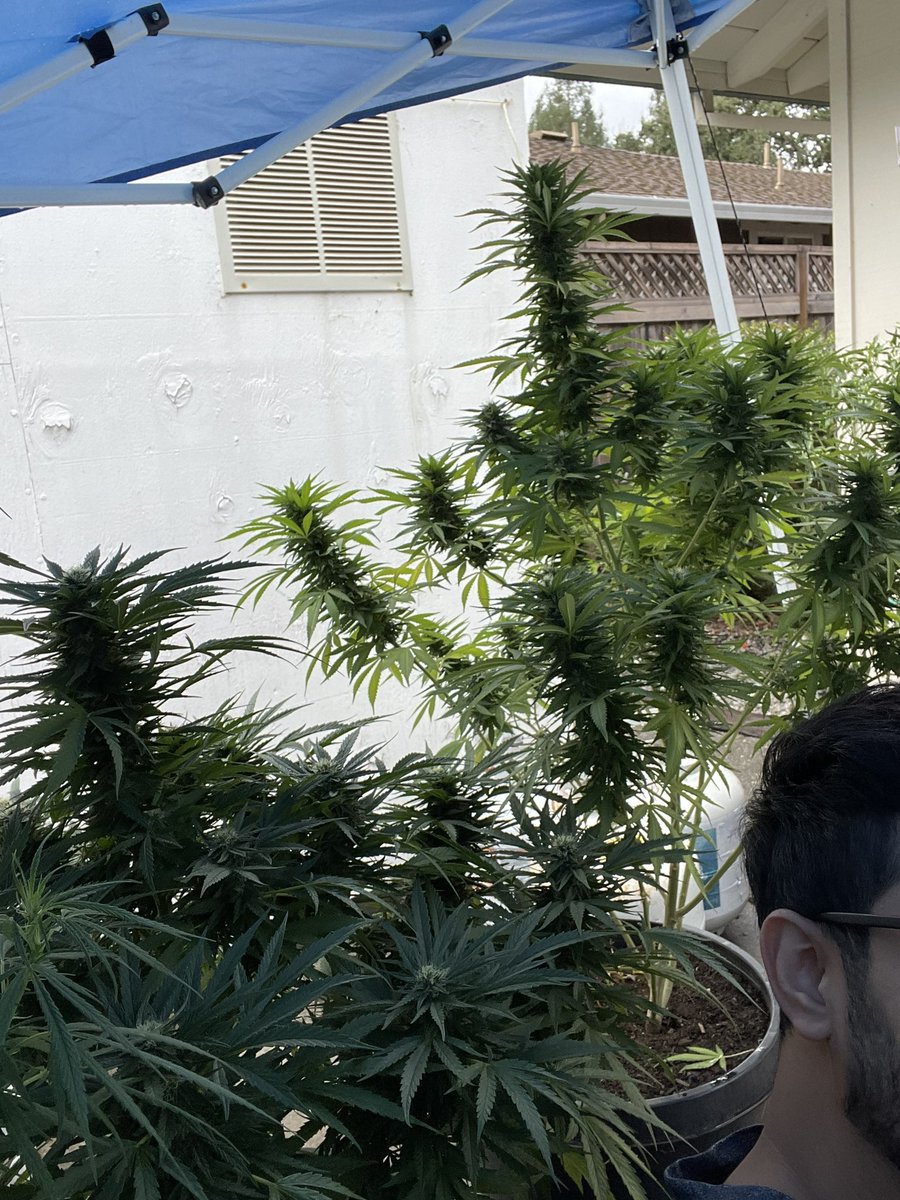 J Javier tweet media