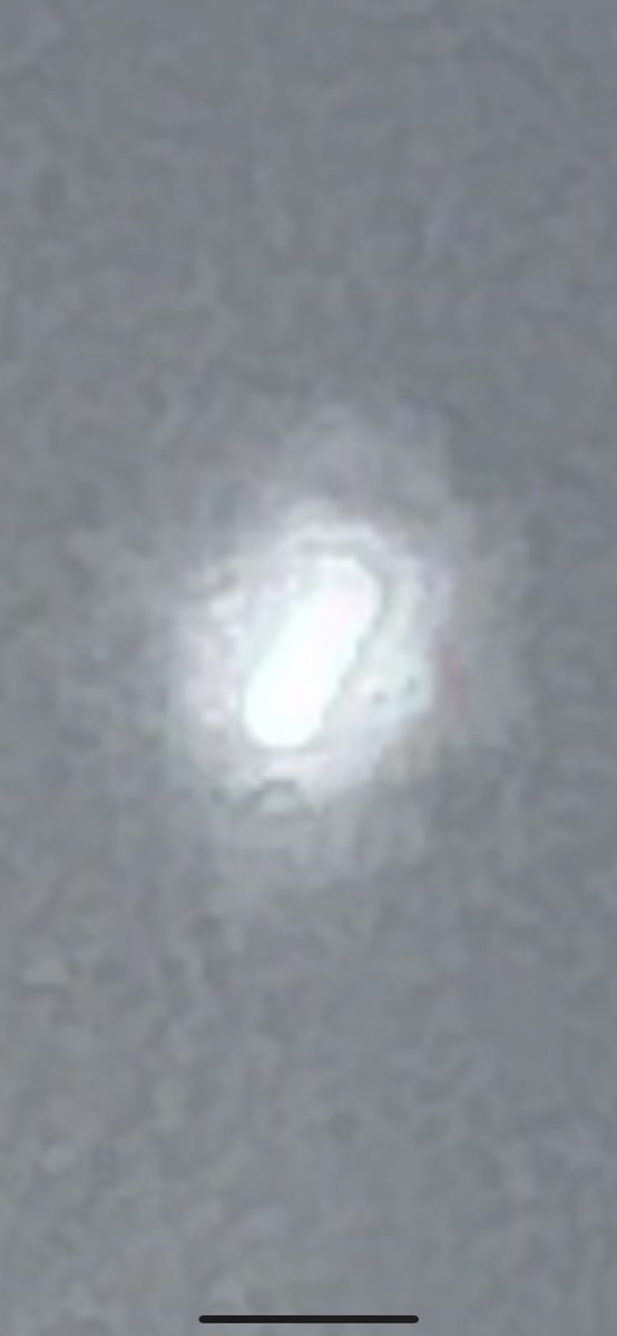 Cliff Hagen tweet media