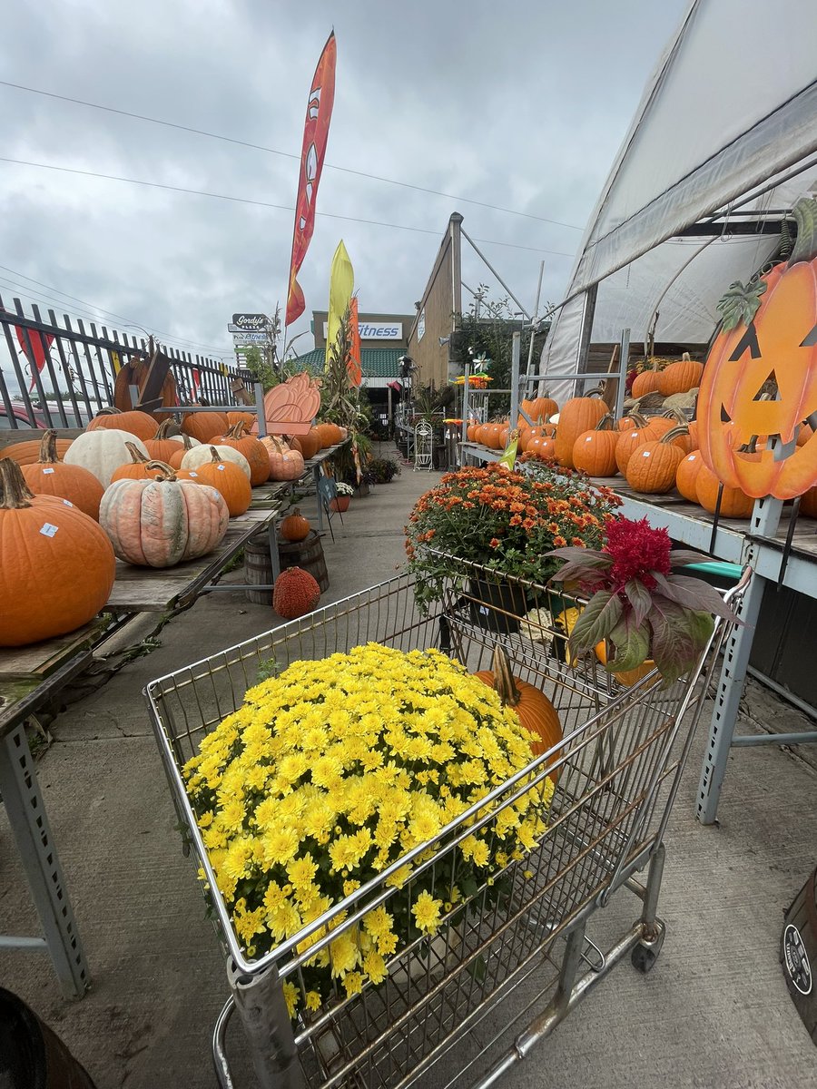 naniigrant's tweet image. Name me a better way to spend a Sunday 🍂🎃