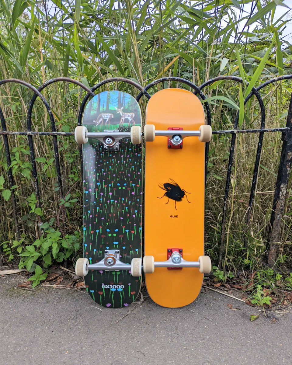 We picked up his &amp; her skateboards this afternoon from our local skate shop!❤️

#skateboarding #skateboard