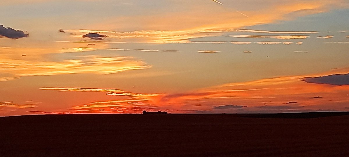 SonsoZatarain's tweet photo. 《Suavemente llegó la noche con el #atardecer 》
H. Wadsworth #Longfellow #ElArtedecaminar
#senderismo #senderismomujeres 
#AtardeQueNoEsPoco
🚶🏾‍♀️🎒🥾🦯🔭🏙🎑🌌☯️ https://t.co/aM9fAHsuna
