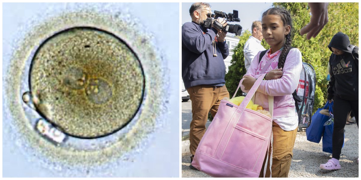 JoJoFromJerz's tweet image. If you think this zygote has rights, but this little girl does not, you are an idiot, an asshole and you sure as shit are not “pro-life”.