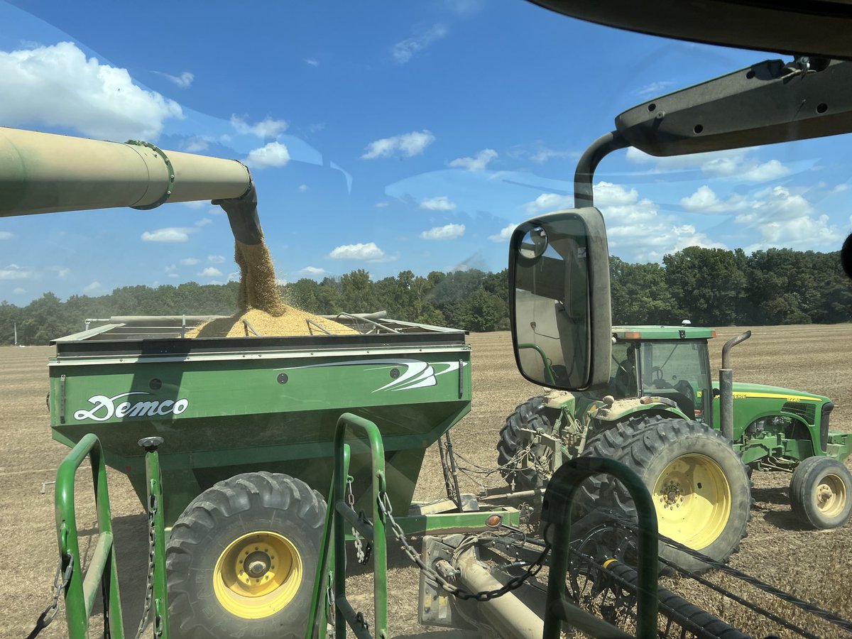 This is a farmers day at the spa. 😎