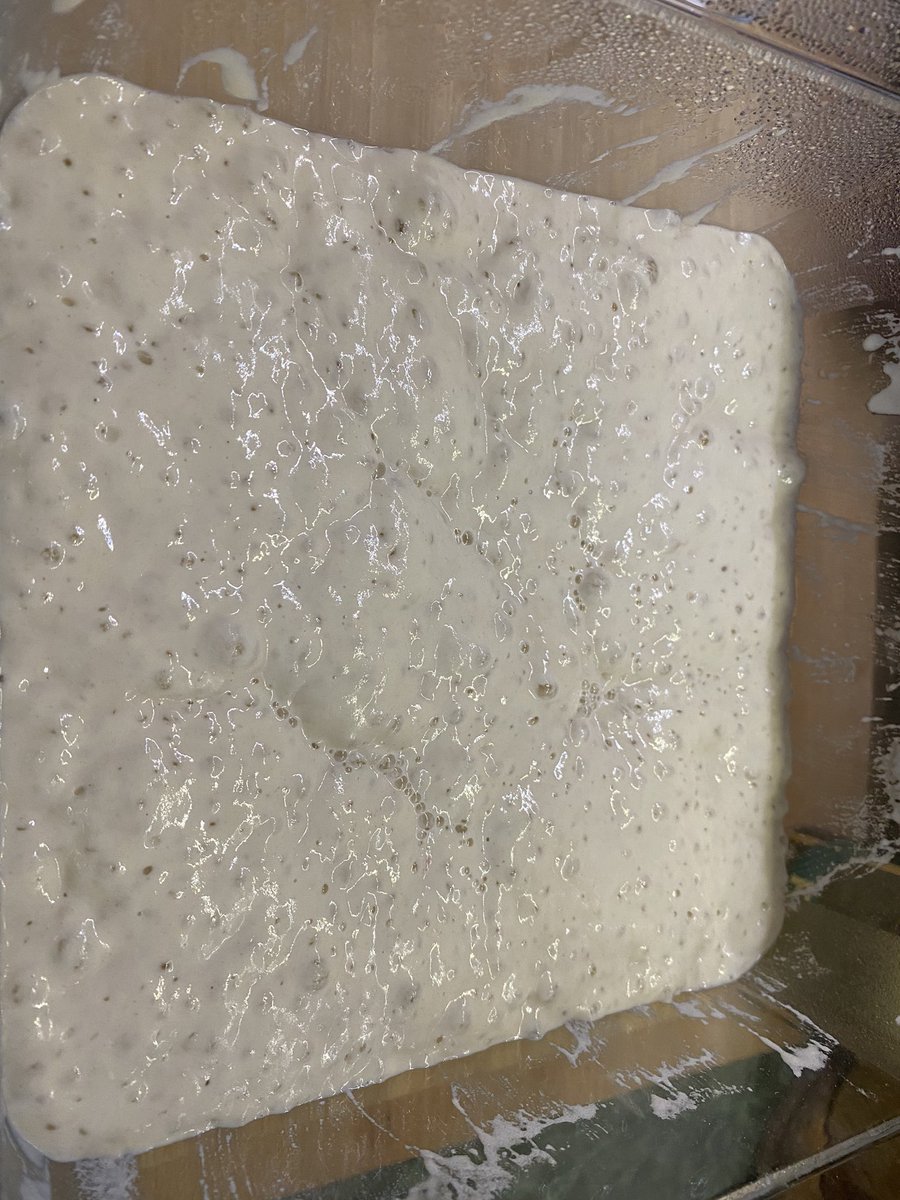 WrightMusic's tweet photo. After 16 hrs of fermentation. The poolish is ready. Time to make some dough balls! 5hrs to pizza time :) For the pizza nerds it’s 70% hydration. https://t.co/jrv17nhf4U