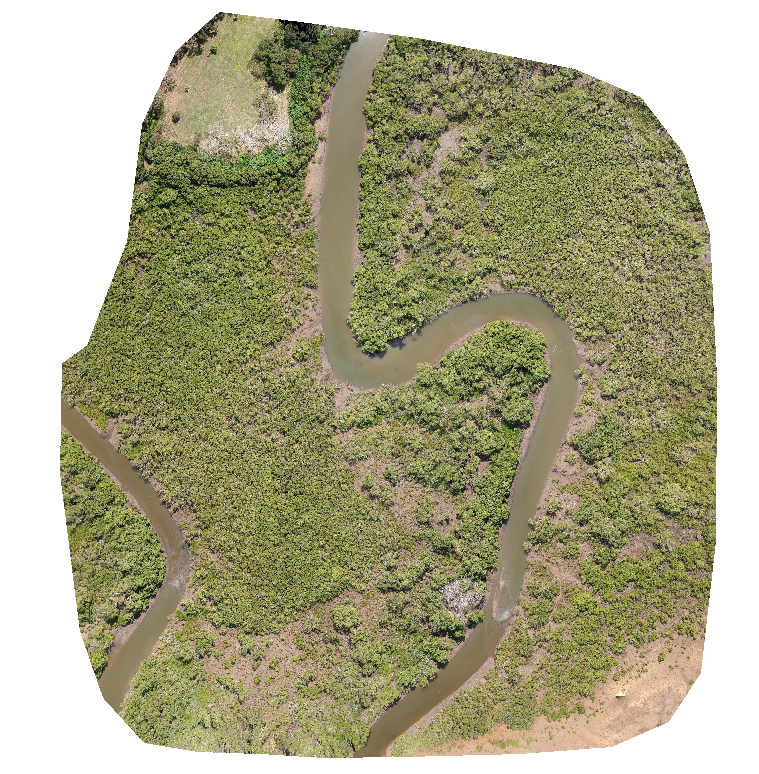 __LMorgan's tweet photo. @AndrewF11526574 Despite my inability to fly in a straight line, managed to get a decent product out of the Spark with @OpenDroneMap https://t.co/V7BYCM7mLB