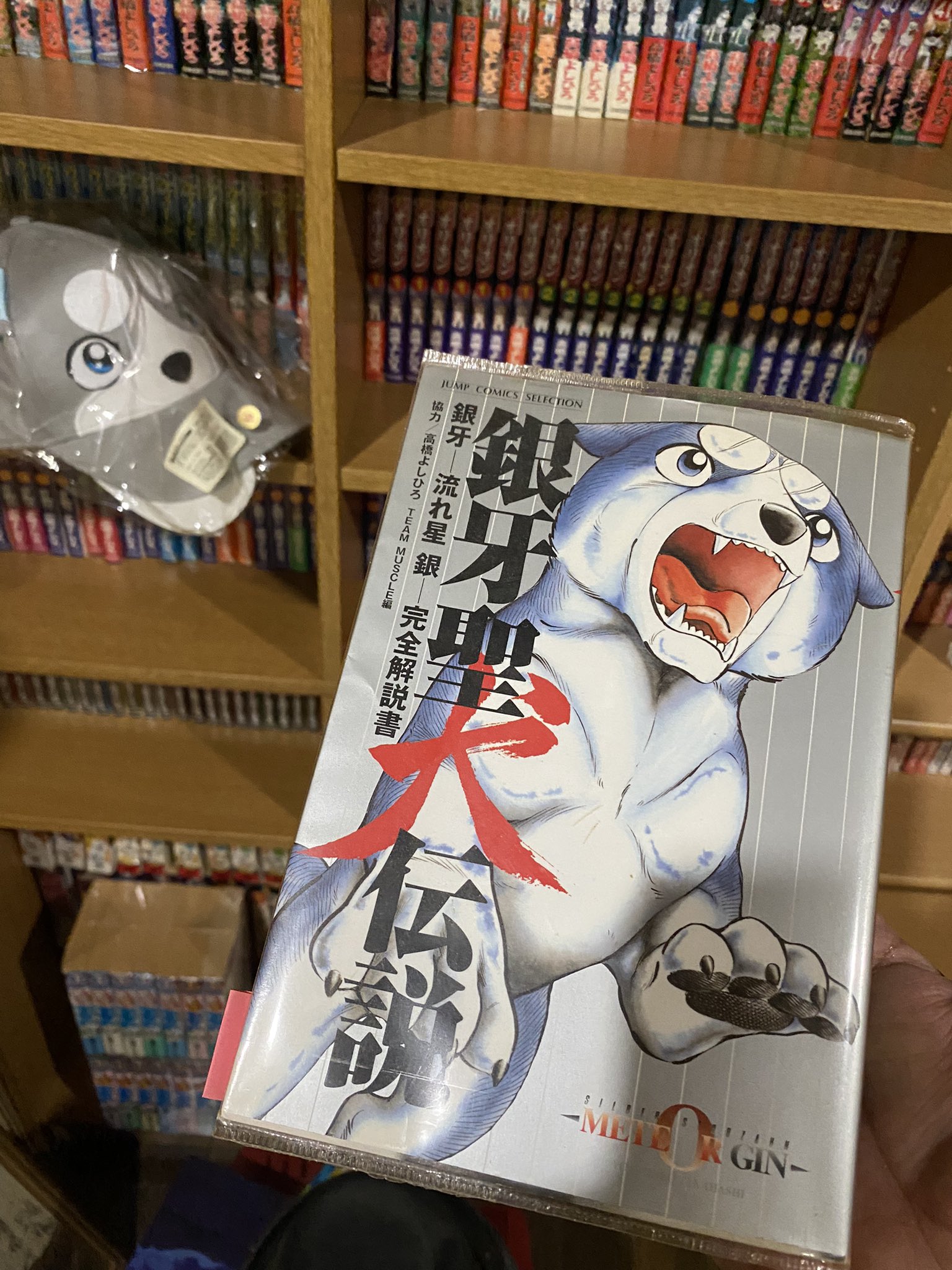 銀牙聖犬伝説 - 検索 / X