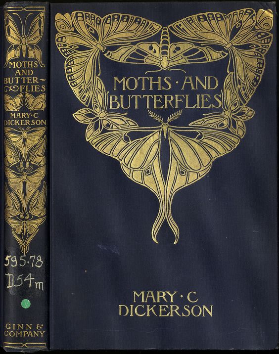 I do believe that there's a spell that allows you to shapeshift into a moth in this book somewhere.🖤