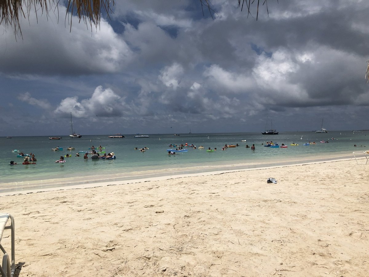 Missy Paolicelli tweet media