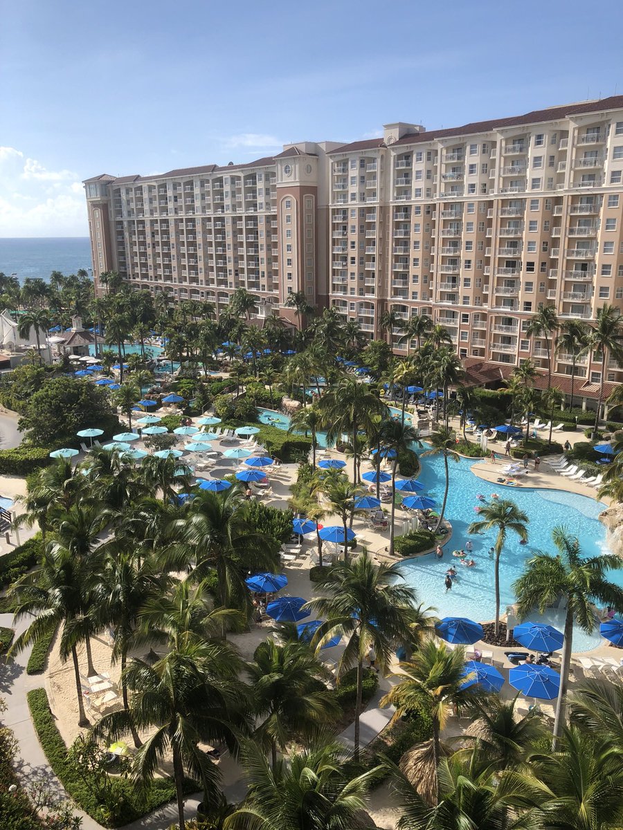 Missy Paolicelli tweet media