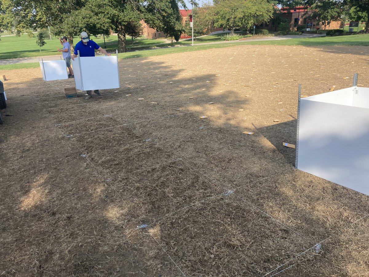 OSU_ATI_Turf's tweet photo. Nice day to get some seeding done! This project will be looking at how new cultivars of Kentucky bluegrass, perennial ryegrass, tall fescue, and hard fescue respond to nitrogen. 1st location in the ground, 3 more to seed… https://t.co/eFWU5zZbii