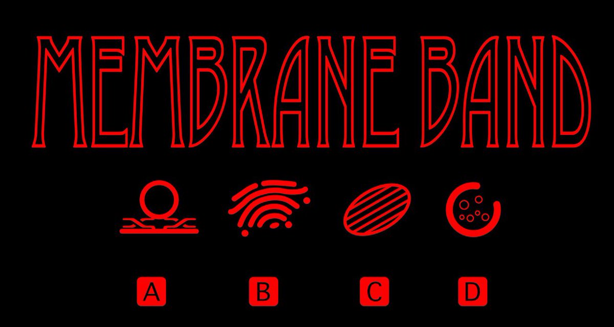 Quizz of the day: we are 4 cell biologists, 4 musicians in the <a href="/BandMembrane/">Membrane Band</a>, behind 4 logos. Can you guess who is who ?