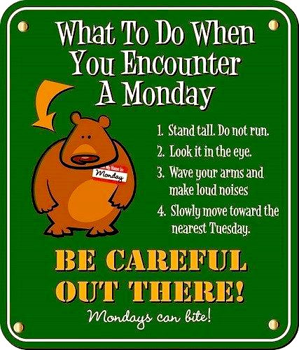 Guten Nacht 😴 When troubles rob your sleep remember your blessings. 
Also, Blessings = Pet Family 🐶🐱🐹🐰🐧🐮🐛