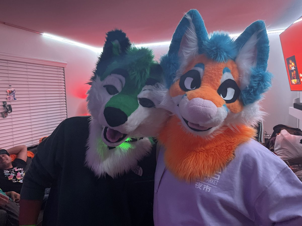 TangoTheFox's tweet photo. today is 3 months with my bf @ZeroTheHusky274!!! so happy to have someone so amazing in my life ❤️❤️❤️ https://t.co/b7oH7zx3kO