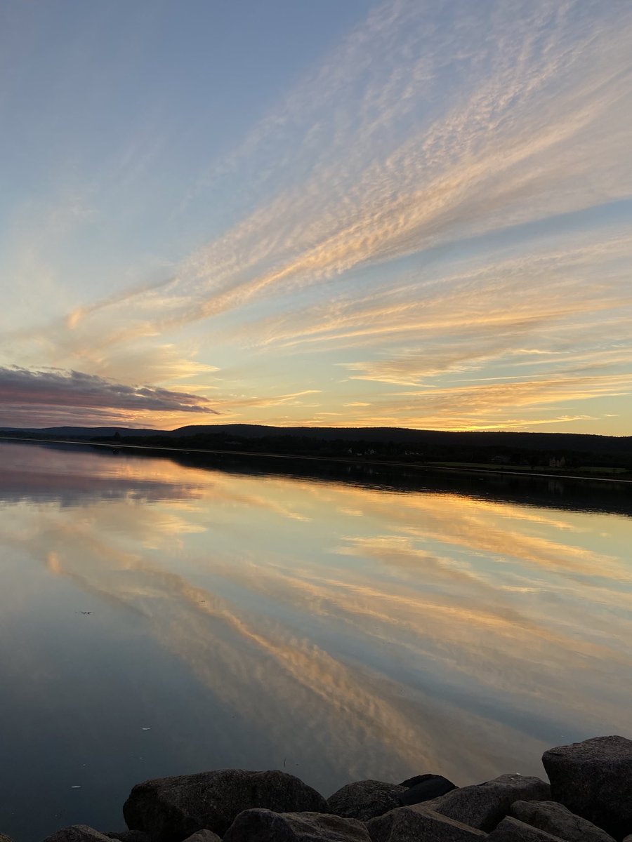 Alan Fram tweet media