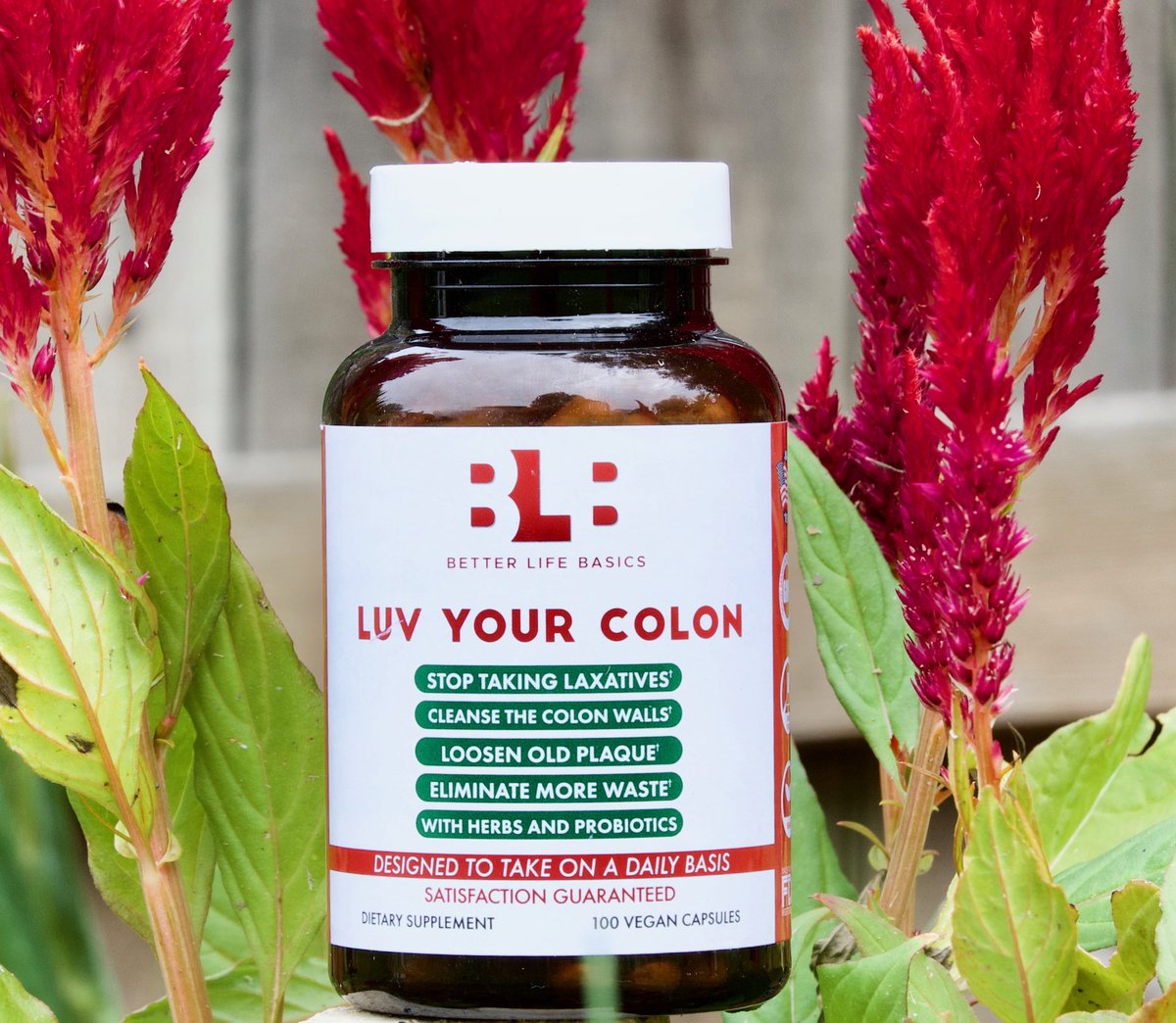 basics_better's tweet image. #LuvYourColon #Winitwenesday #digestivehealth #healthycolon #probioticsupplements #nongmo #tagafriend