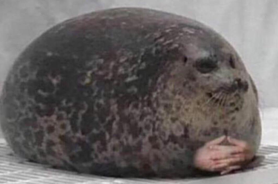 Izzyfizzyxx08's tweet photo. Me awaiting my doom in the next 72 hours because I decided to wait last minute to watch/read 4 weeks worth of O Chem material: https://t.co/m8Obq0fpLh