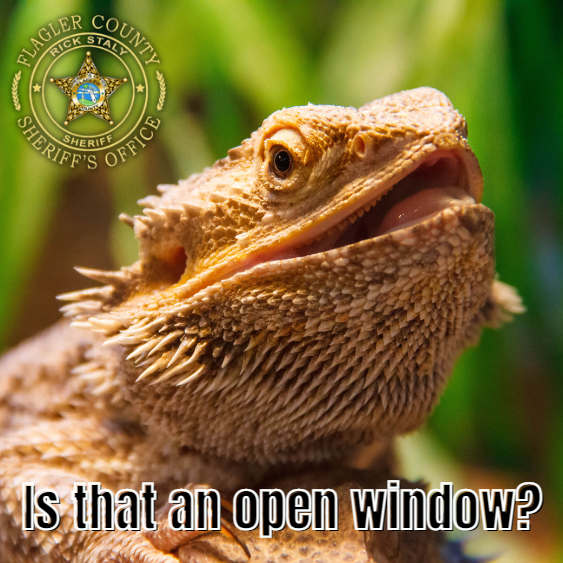 FlaglerSheriff's tweet photo. The #9PMRoutine can keep more than criminals out of your home.
#AnimalAlert #WildCreatures #GoodNight #SleepTight #FlaglerCounty #FCSO #Bunnell #PalmCoast #FlaglerBeach https://t.co/JLLzed22Uv