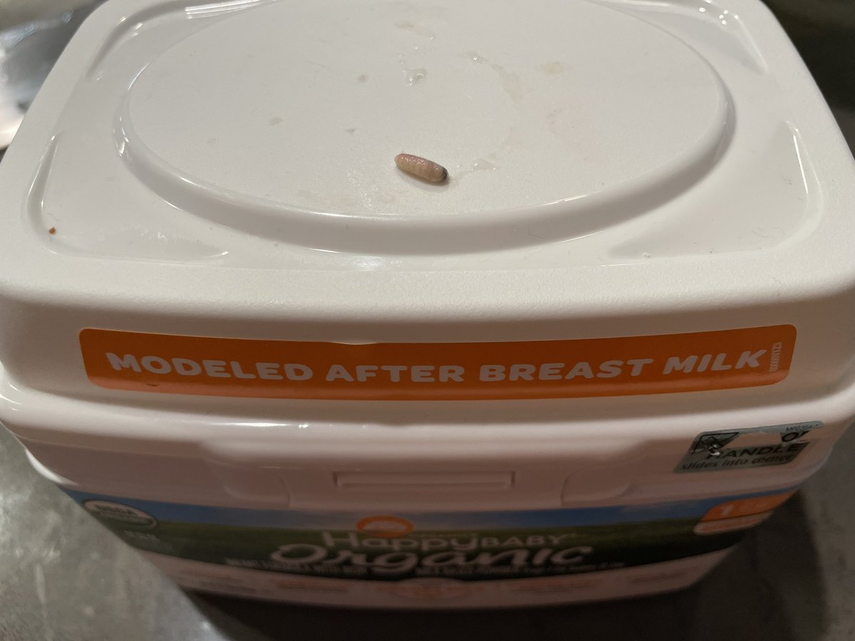 Ian James tweet media