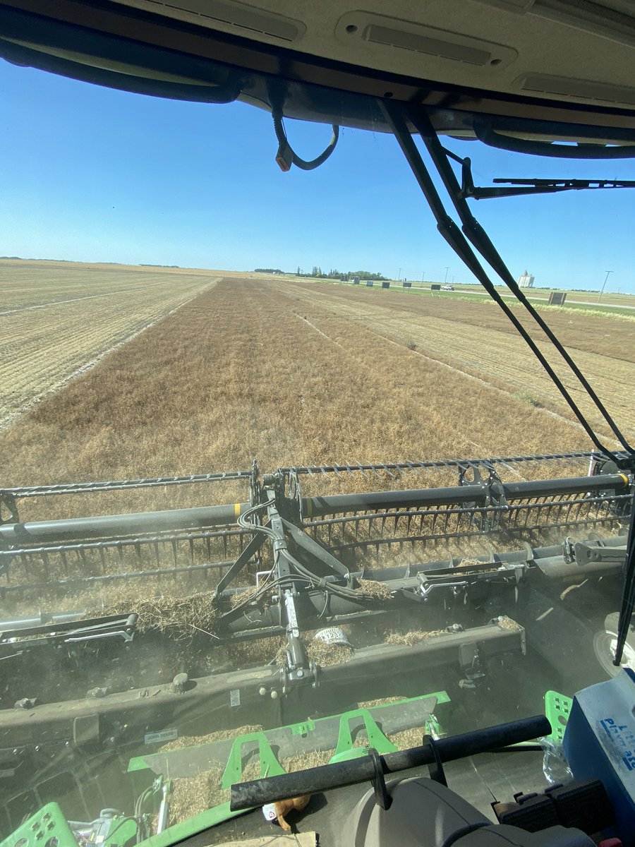 SynergyAGBalcrs's tweet photo. ✅ Alpine Lentil Plots

Thanks @77Dixie, @AlpineJimmie &amp; @NicoleLabbie for all your help!

@verdesian @alpinepfl https://t.co/OIBZyOxdi5