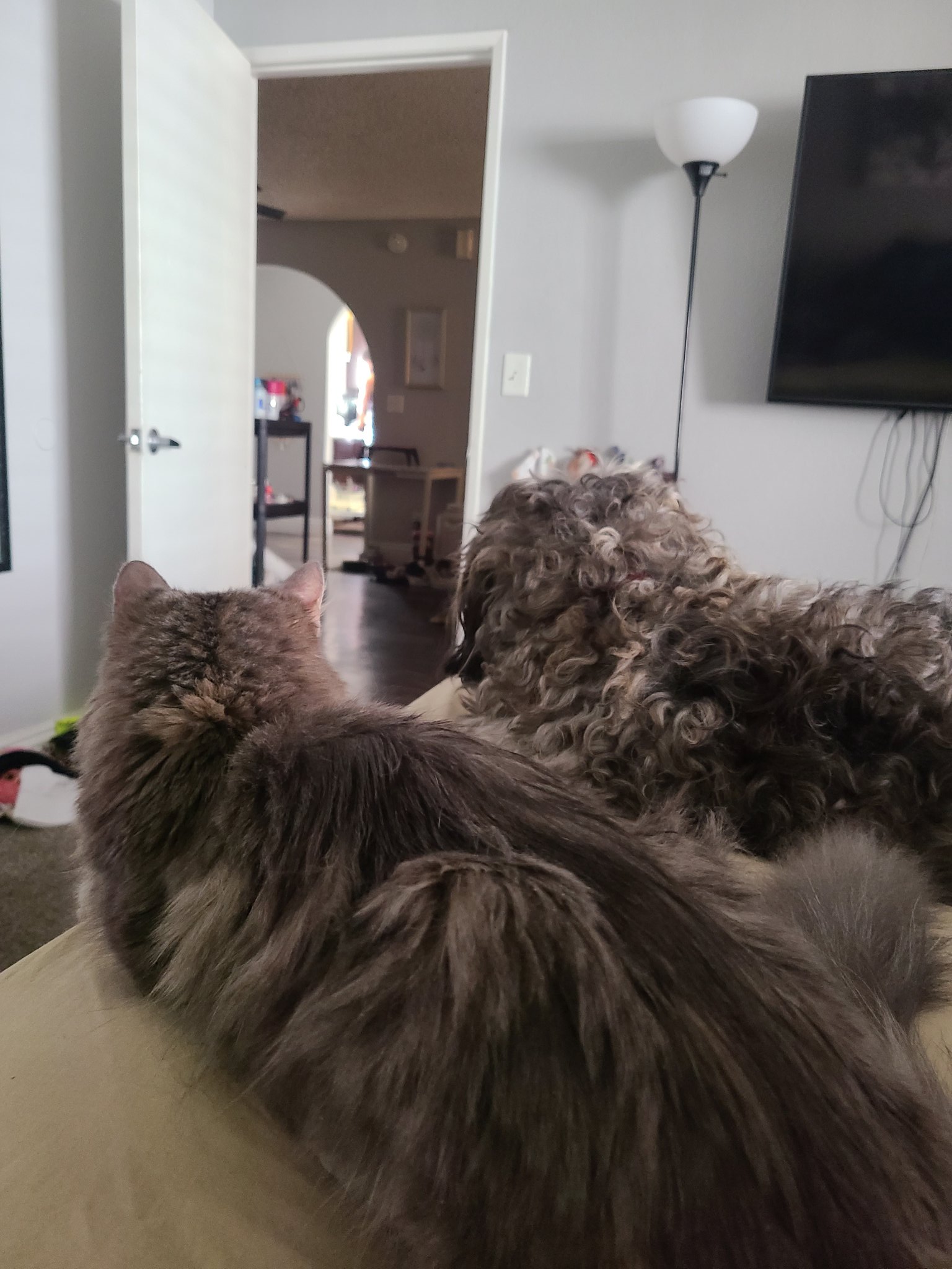 Crystal Blue 420 on Twitter "Someone's been feeling a lot better 🥰
