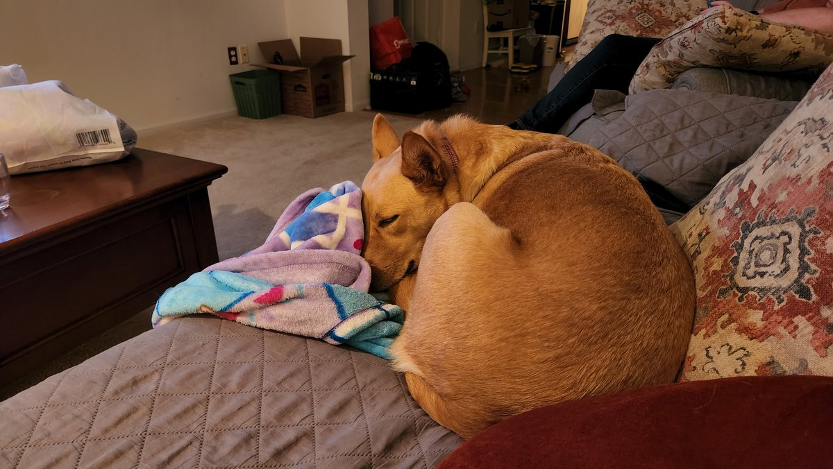 The cute! She knows exactly how to pile it on.