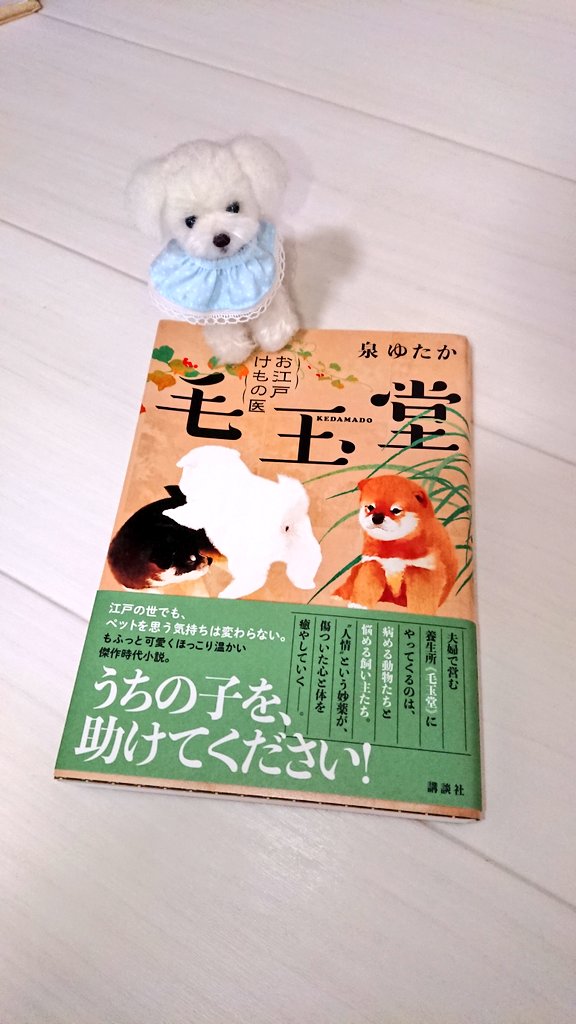 さみー tweet media