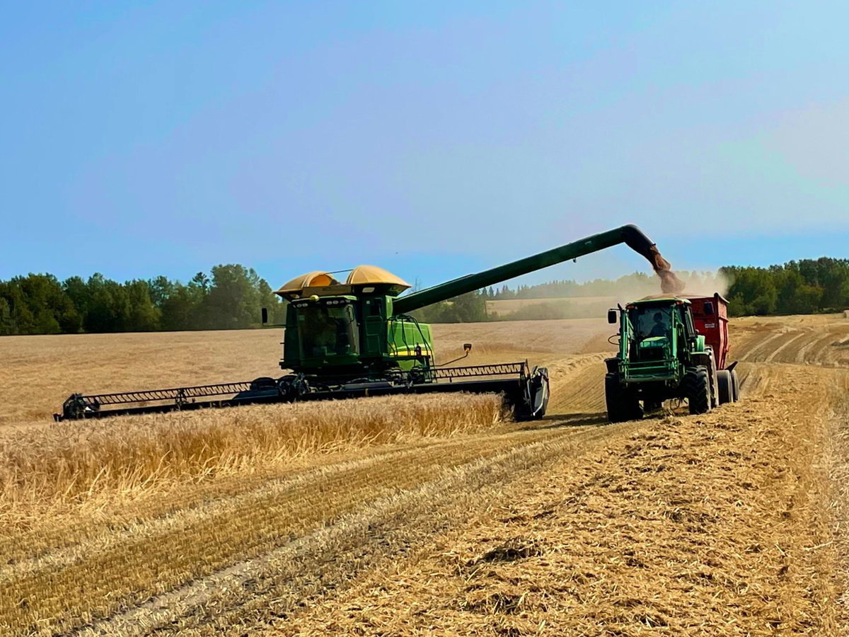 Almost done wheat! Hope to start canola tomorrow! Got Lee to drive so I could take this picture 😆