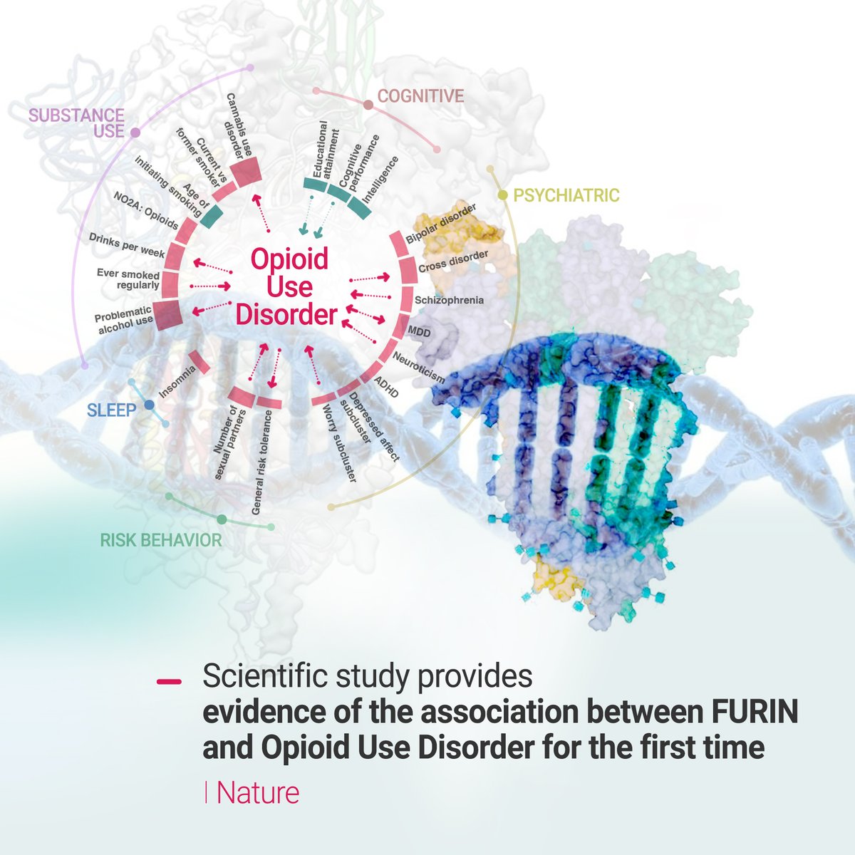 AcutisLab's tweet photo. Opioid use disorder (OUD) has a serious negative impact on public health & is a leading cause of preventable death. Nature reports novel findings advancing discovery👉 https://t.co/YJogh4Icu3
✨
#ToxicologyTesting #DrugTestingLab #FentanylTesting #NationalRecoveryMonth #Acutis https://t.co/XY0qXQ4ylV