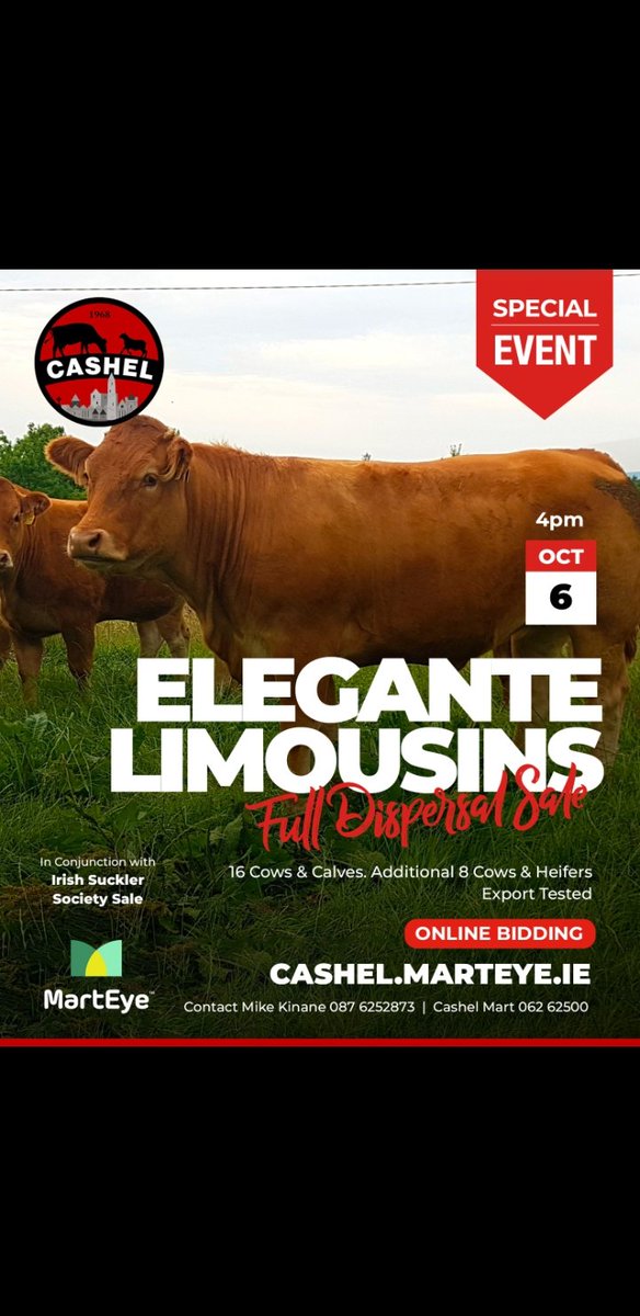 Mike Kinane tweet media