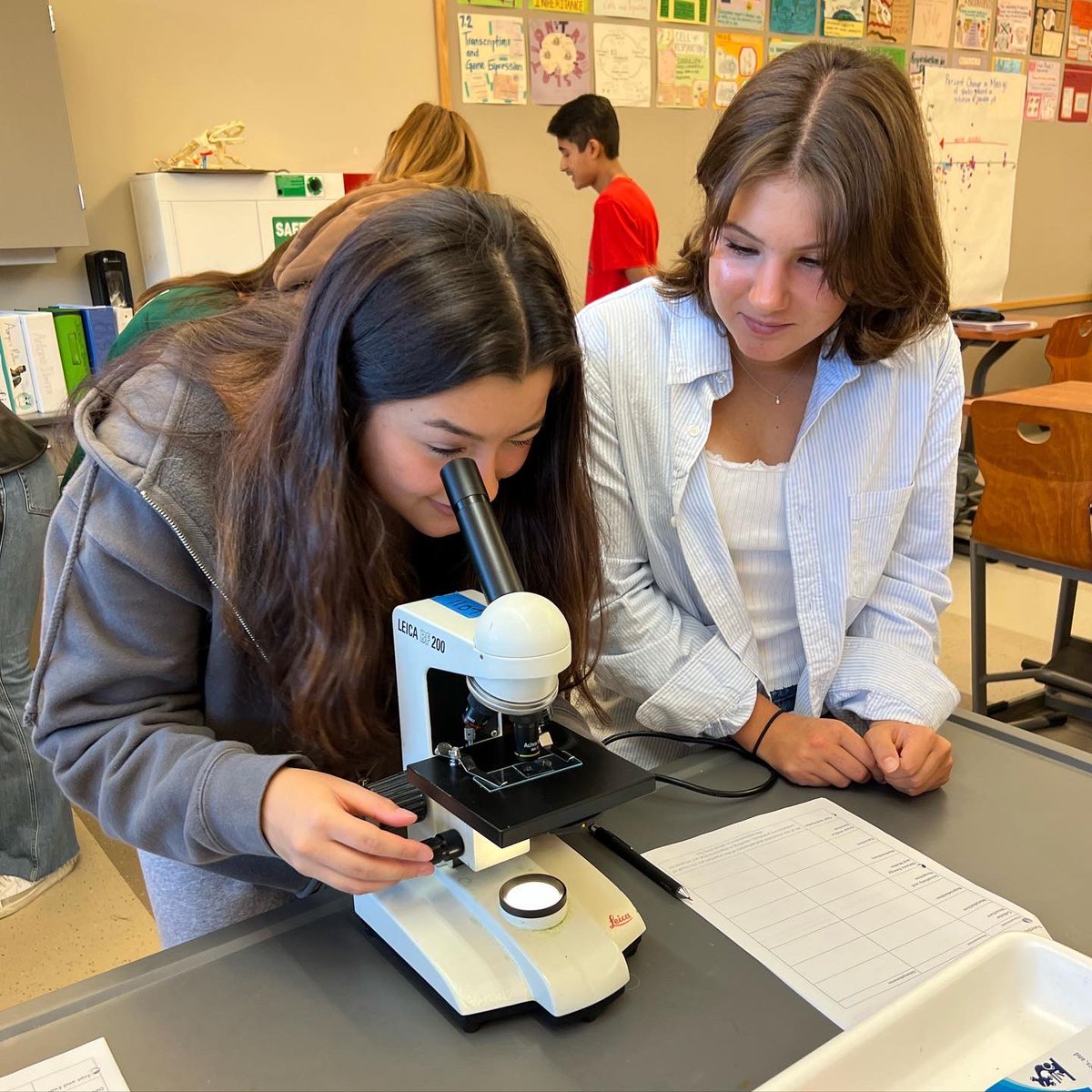 Gretel vB (@vb_ibbio) on Twitter photo Welcome to the newest class of <a href="/SHS_Spartan/">Skyline High School</a> #ibbio students! We spent the first week of class getting to know each other and exploring characteristics of life #shsibbio Welcome to the newest class of <a href="/SHS_Spartan/">Skyline High School</a> #ibbio students! We spent the first week of class getting to know each other and exploring characteristics of life #shsibbio