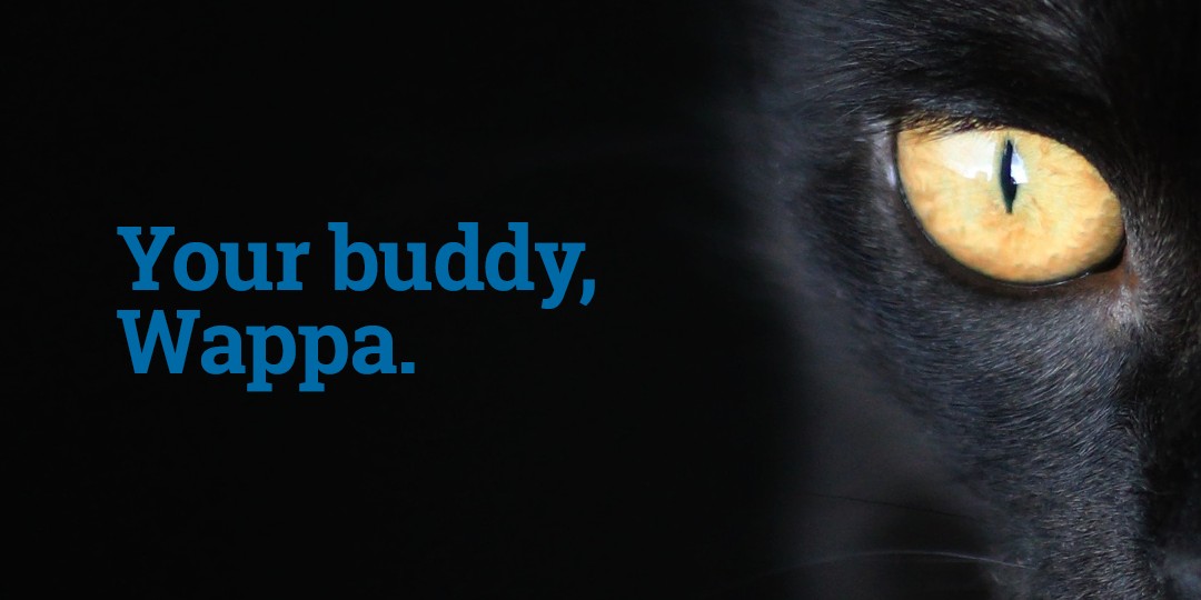 hycycled's tweet photo. Your shift is over – it’s time to crash with #Wappa. https://t.co/QgqWzD3mvP