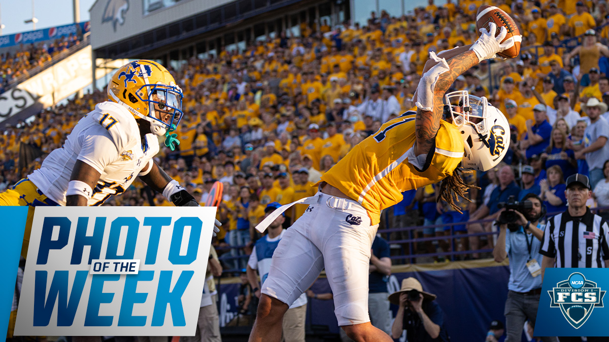 NCAA_FCS's tweet photo. 📸 #FCS Photo of the Week 🏈

@MSUBobcats_FB wide receiver @wpatterson__ hauls in the circus catch for the TD in the Bobcat's 40-17 win over McNeese. https://t.co/zdV1BNVbeN