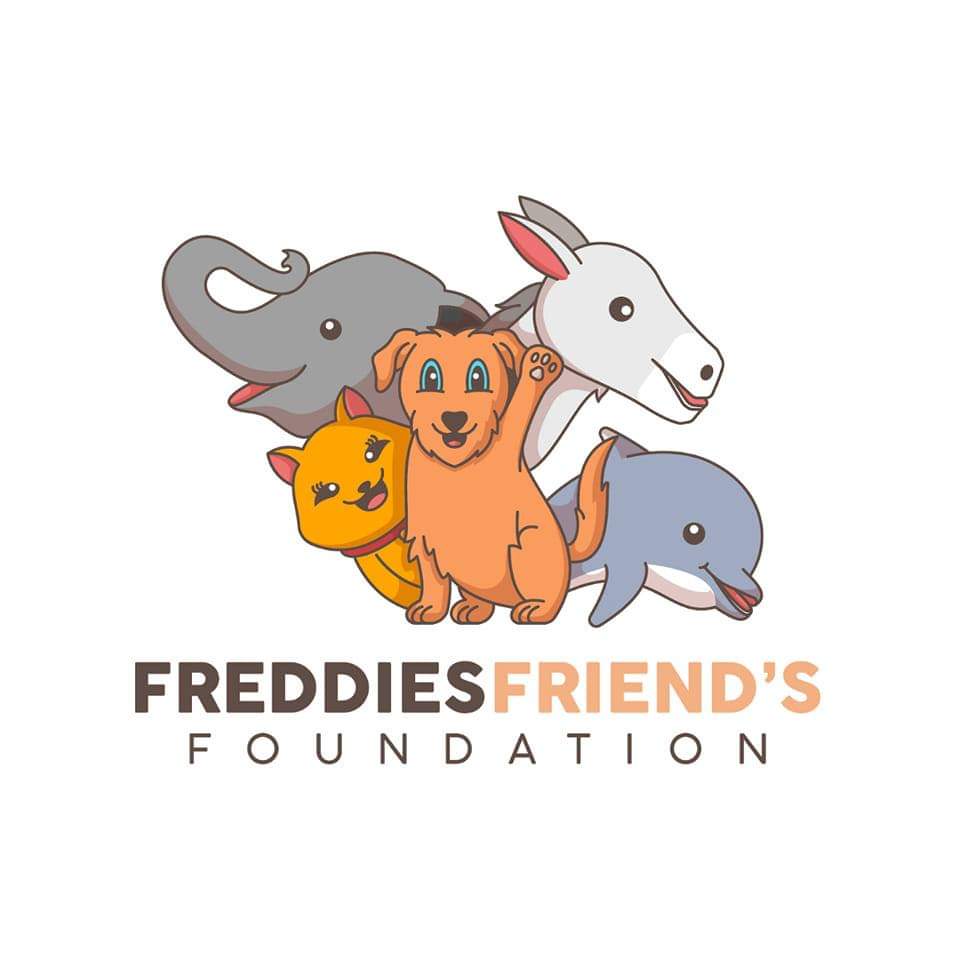 CornishSpliced's tweet photo. Could we be prouder this #Spliceketeer Tuesday? No, we could not...
As we are over the moon to shout loudly about Freddie's Friends: https://t.co/iwLxGF2210
Chris - who is the huge heart behind Freddie's Friends Foundation - works hard to raise funds and...
Thread https://t.co/gX3RohvZ5p