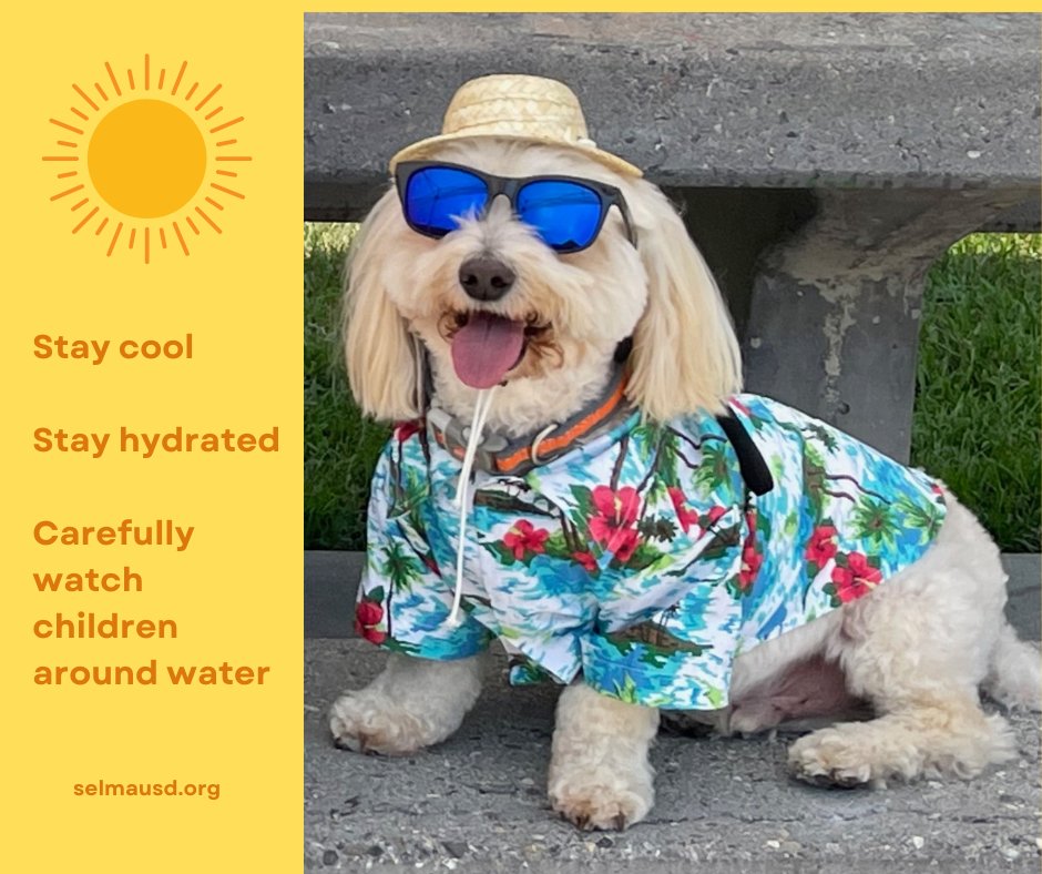 Tips for the heat: be like our district #therapydog Jeter, who is staying in the shade, drinking water and keeping as cool as possible! #Heatwave2022