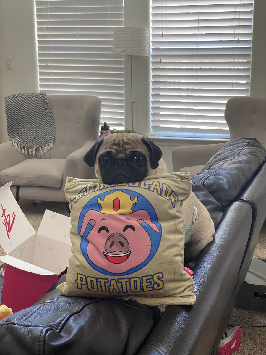 HelloLaura96's tweet photo. Rest easy king o7 @Technothepig https://t.co/FeX1Ads5IV