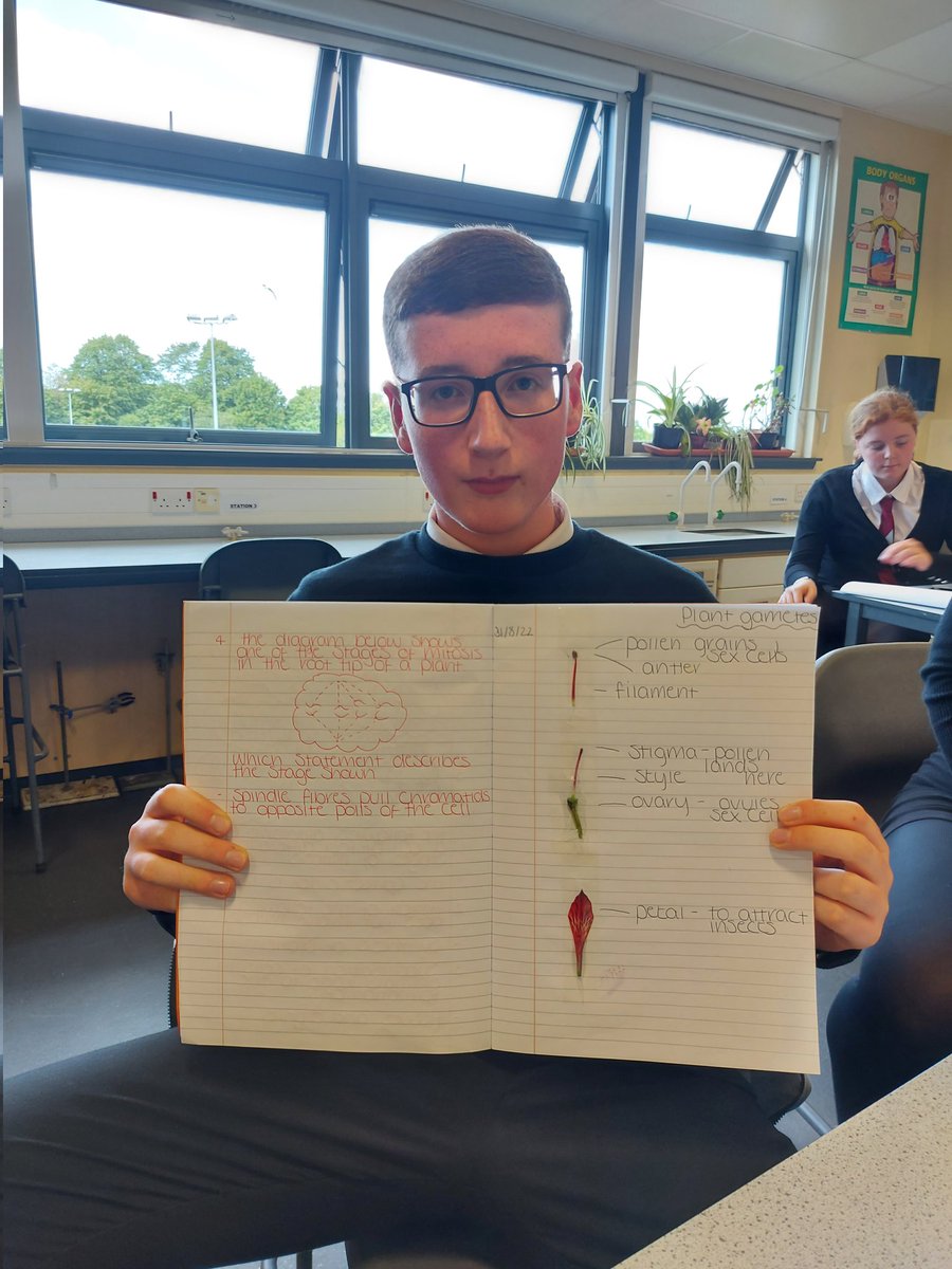 VoLA_sci's tweet photo. N5 biology students have been learning the structure of the flower by carrying out their own dissection. 

What did the biologist say after he told a joke....

I'm only pollen your leg! 😂 https://t.co/pjKX3ZHwrl