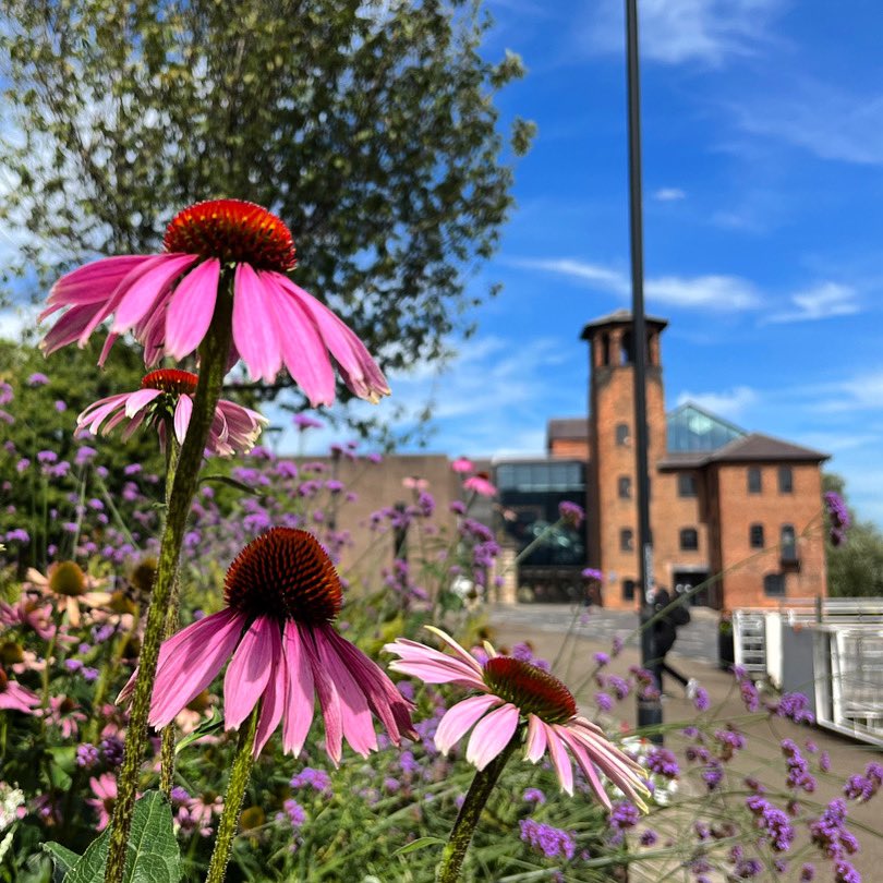 DCWinslow's tweet photo. Sandwich by the Sill Mill 🥪 🌸
#thingstodoinderby https://t.co/g6bPUkdQhX