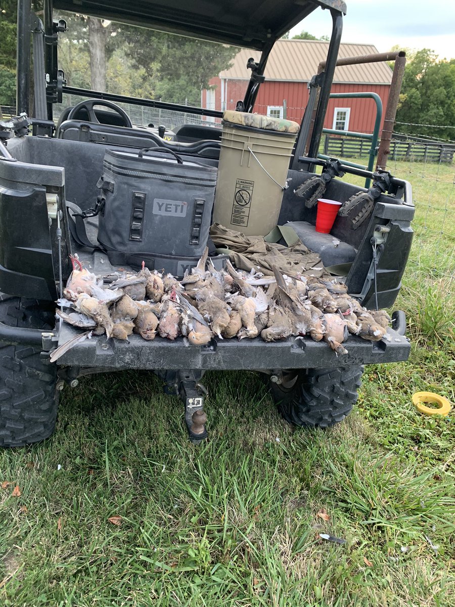 CarterKerr3's tweet image. Had a fun Dove hunt this weekend, but can’t wait for cold weather and big bucks #9days