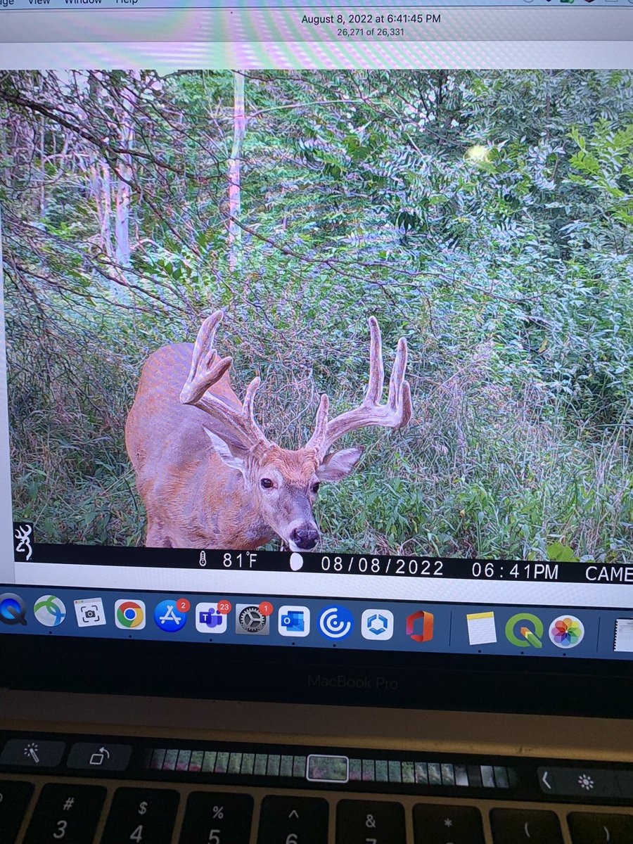 CarterKerr3's tweet image. Had a fun Dove hunt this weekend, but can’t wait for cold weather and big bucks #9days