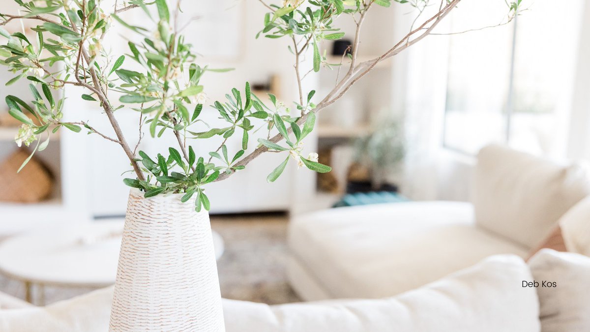 debsdecorative1's tweet photo. Where are you in organizing your home?  And, where do you want to be?  #homeorganizer  #decluttering https://t.co/qpjVz4Ej7y