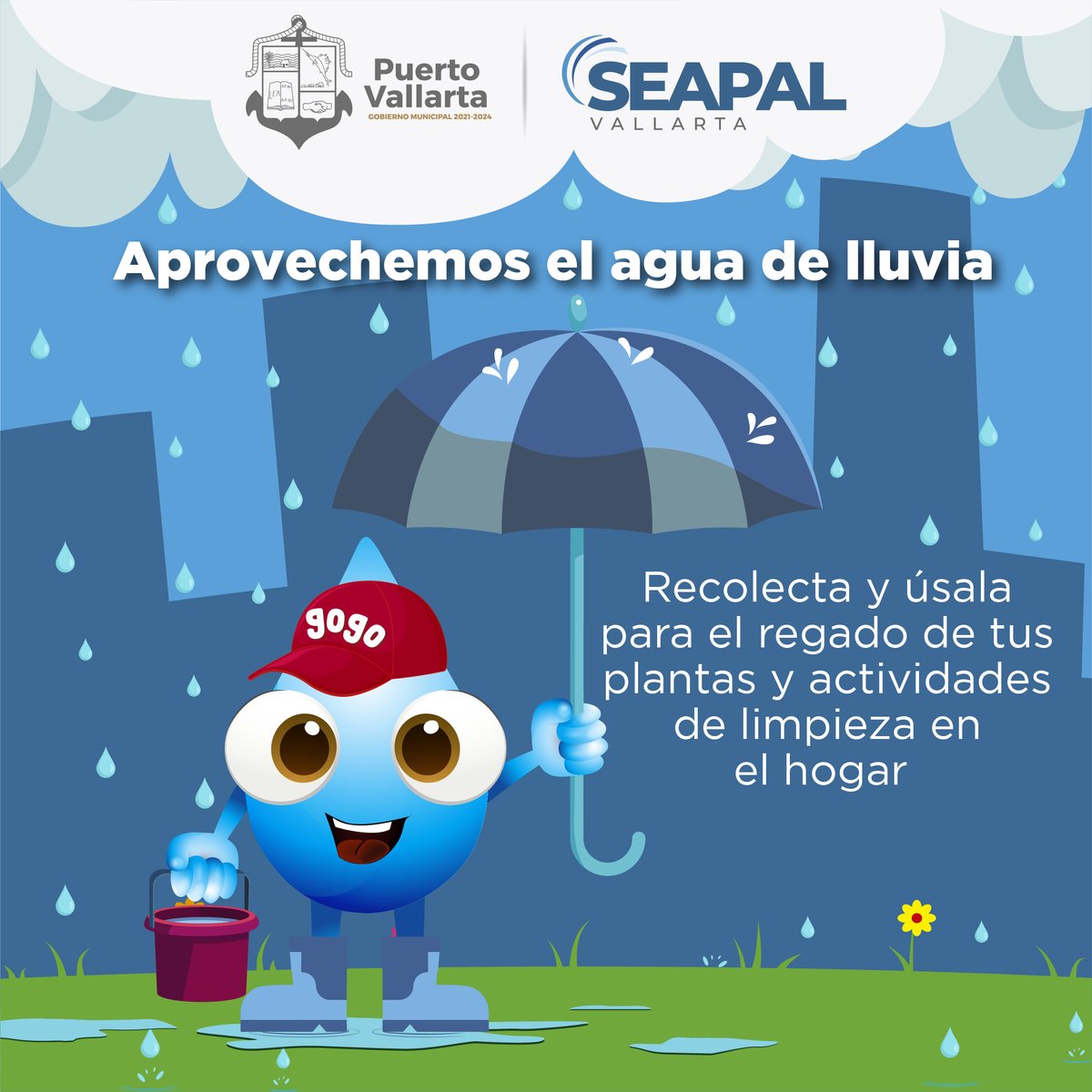 Seapal_Vallarta's tweet photo. ¡Aprovechemos el agua de lluvia!
Recolecta y úsala para el regado de tus plantas y actividades de limpieza en el hogar.
#SEAPALVallarta
#CuidalaUnChorro https://t.co/grcPeVjK2o