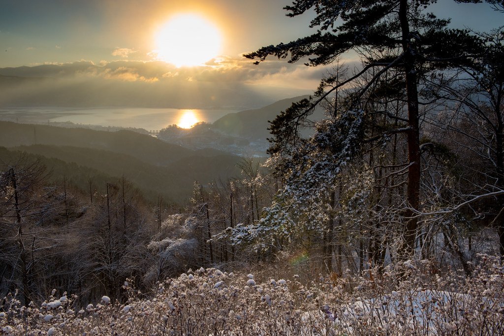 美しい日本 🇯🇵 tweet media