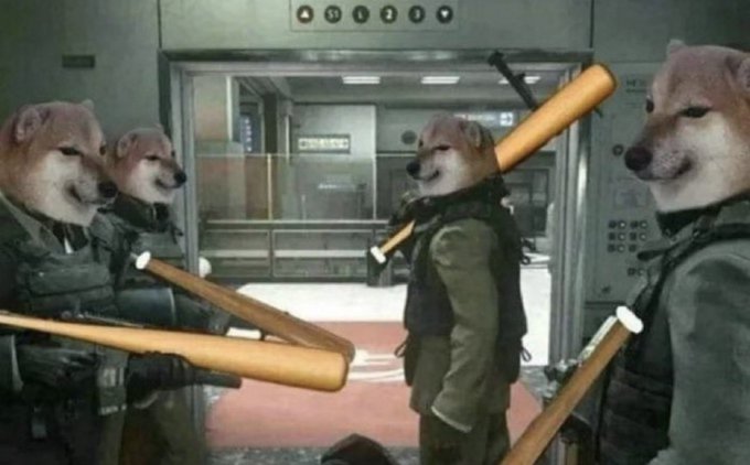 FcAHaimXoAAO_zU?format=jpg&name=small