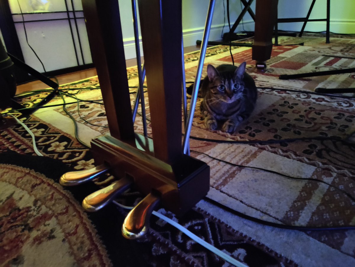 PUBLIC LIVESTREAM #FACEBOOK CONCERT #712 - The Soul's Journey #372 - Join Cleo &amp; I #TONIGHT #TUESDAY SEPT 6th @ 10 pm (EDT)
✨To enjoy the concert, simply click on my name/photo and choose 'View Profile' in the popup menu at concert time! 🙂✨✨