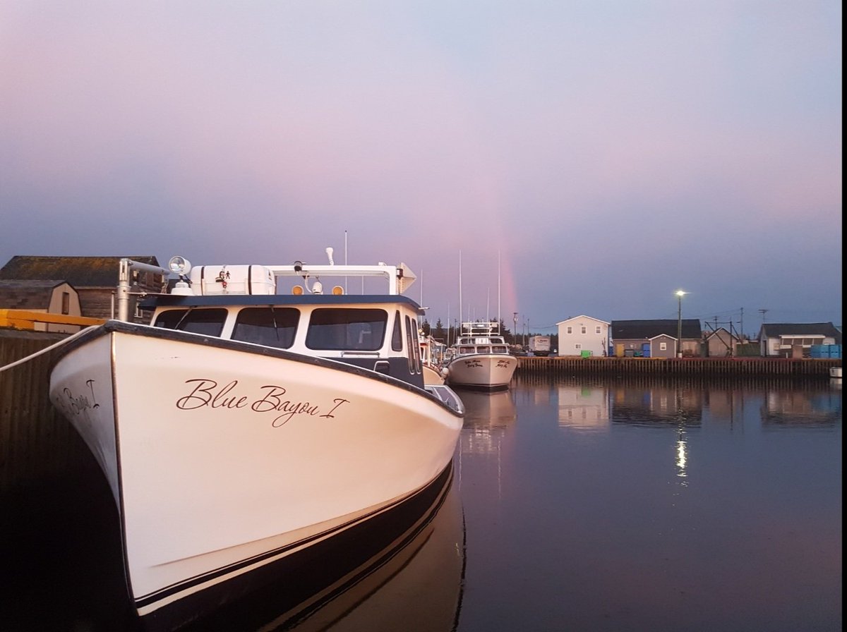 Sidney MacEwen tweet media