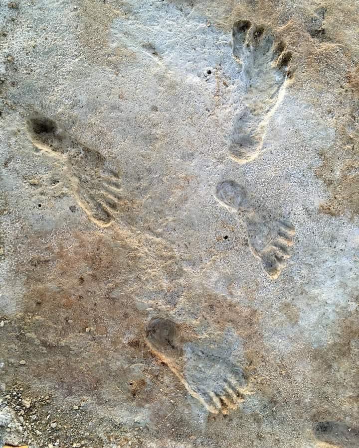 Dr. Clayton Forrester on Twitter "Human footprints from White Sands