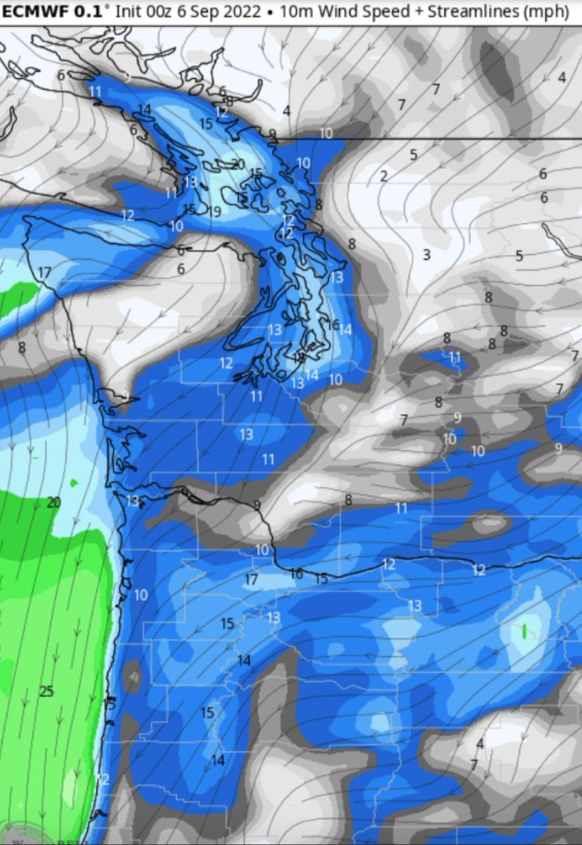 This could be a bad situation come Friday.

A tight offshore gradient develops and winds in the foothill gaps "could" make for a very bad firewx situation.

Would not be surprised to see KSEA-WFO issue "some" type of discussion for this.